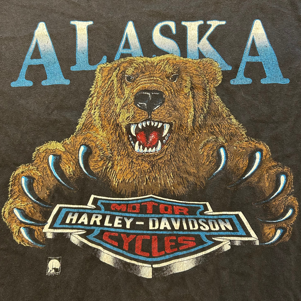 90s Harley Davidson Alaska Shirt - M/L