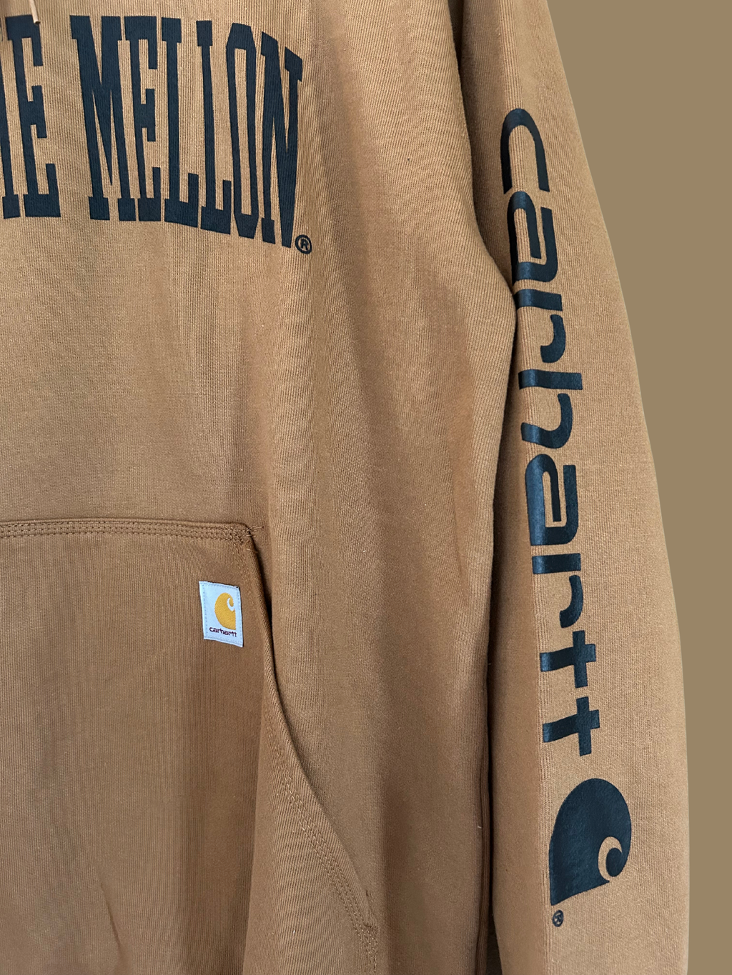 Brand New Carhartt Hoodie - M/L