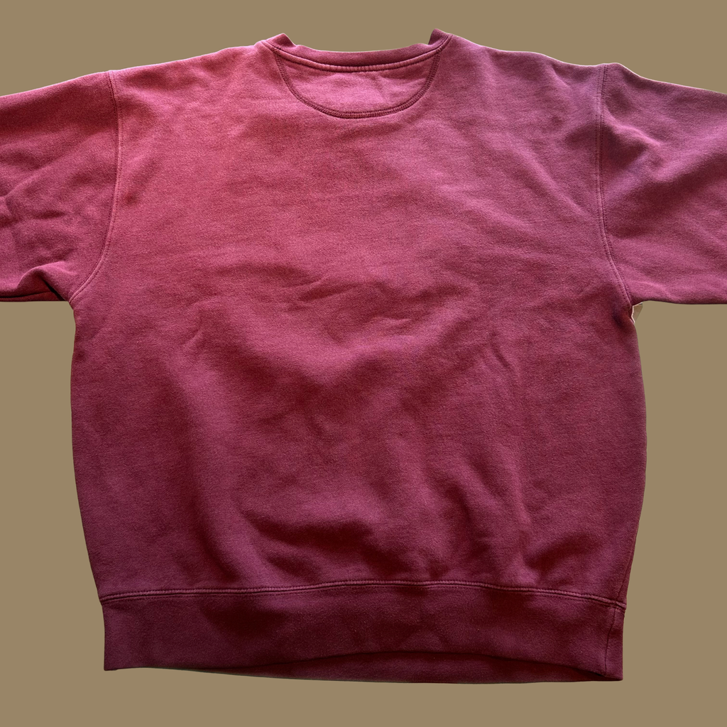 90s Carnegie Tech Sweatshirt - M/L