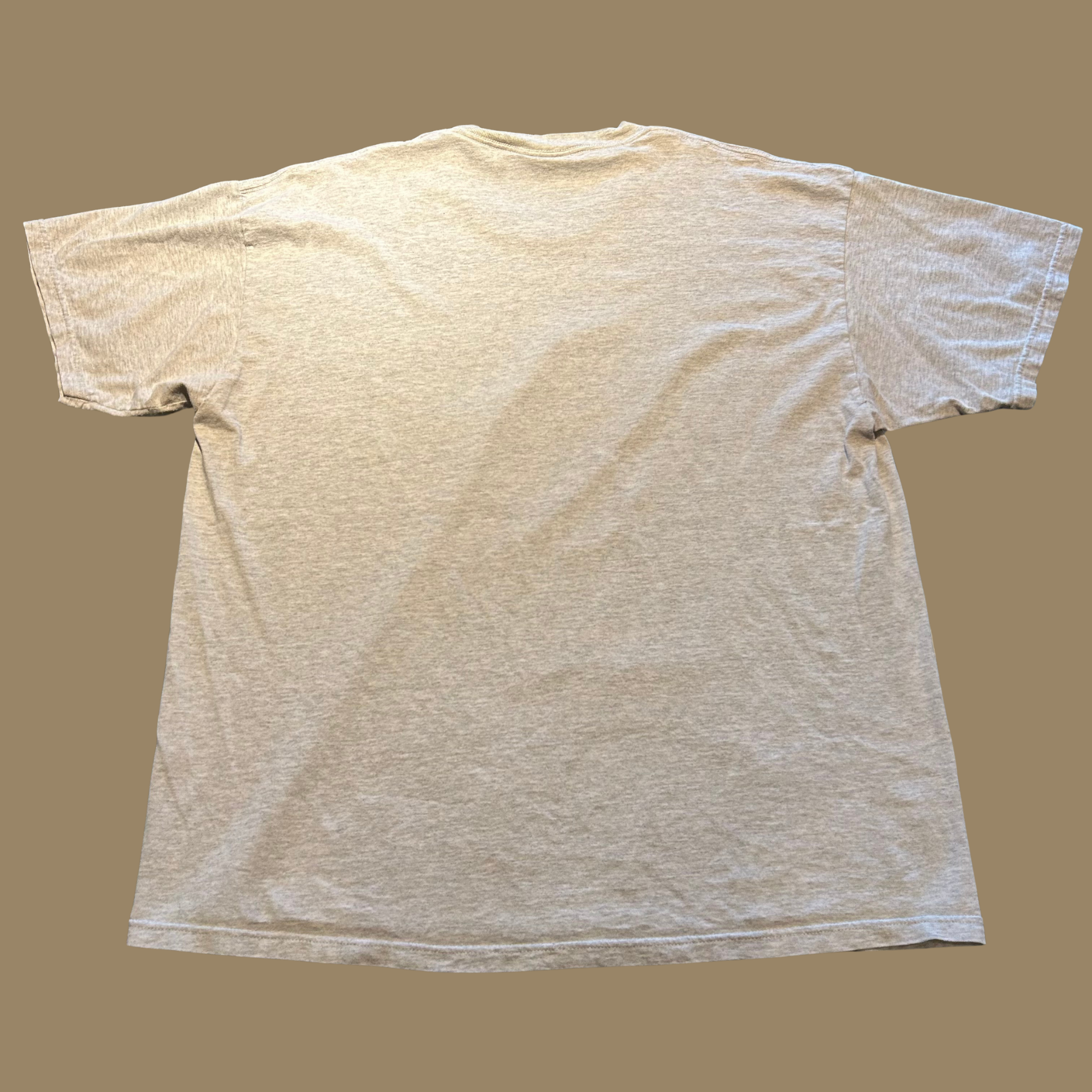 90s UC Santa Cruz Banana Slugs Shirt - L/XL