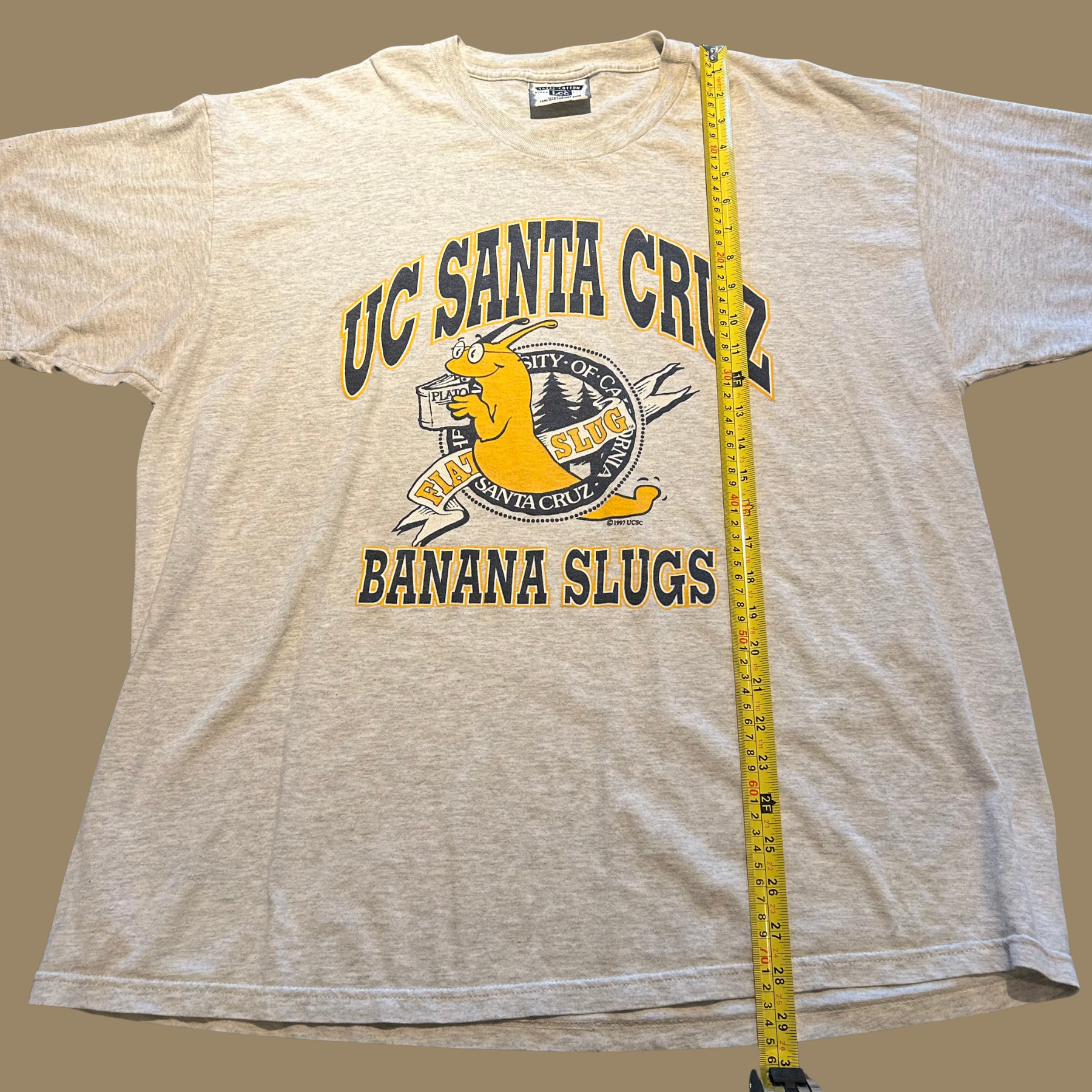90s UC Santa Cruz Banana Slugs Shirt - L/XL